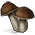 Mushrooms Collected
